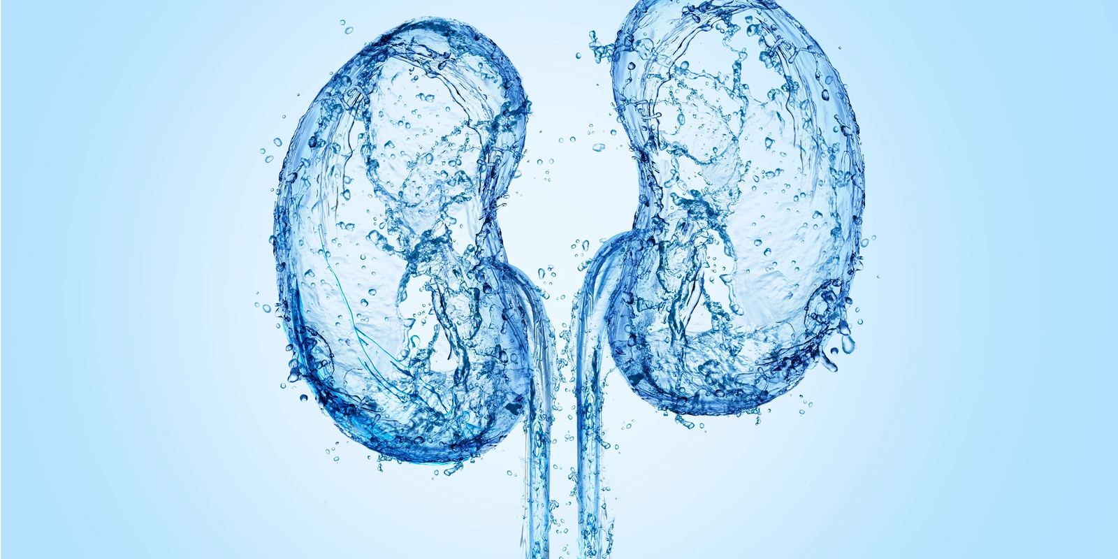 kidneys and hydration