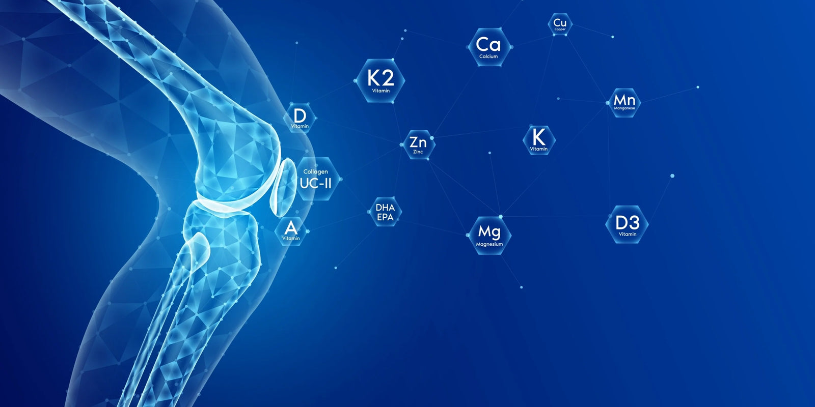 The Link Between Hydration and Immune Function: Boost Your Health with Proper Hydration