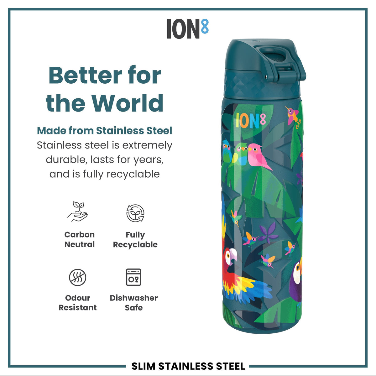 Leak Proof Slim Water Bottle, Stainless Steel, Exotic Birds, 600ml (20oz)
