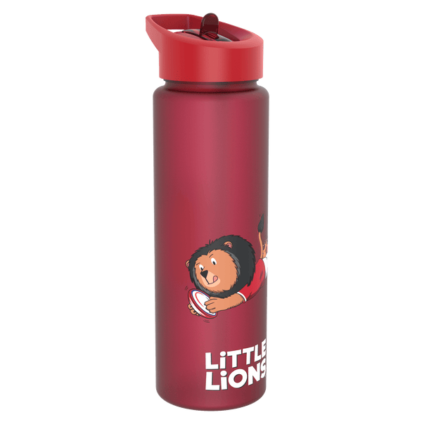 Kids Lunch Bag Bundle, Insulated, Little Lions, Medium